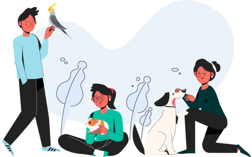 3 pessoas cuidando de seus pets